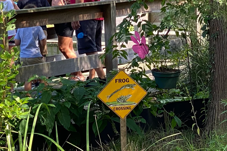 Fotografia de contexto para: itens especiais na pescaria