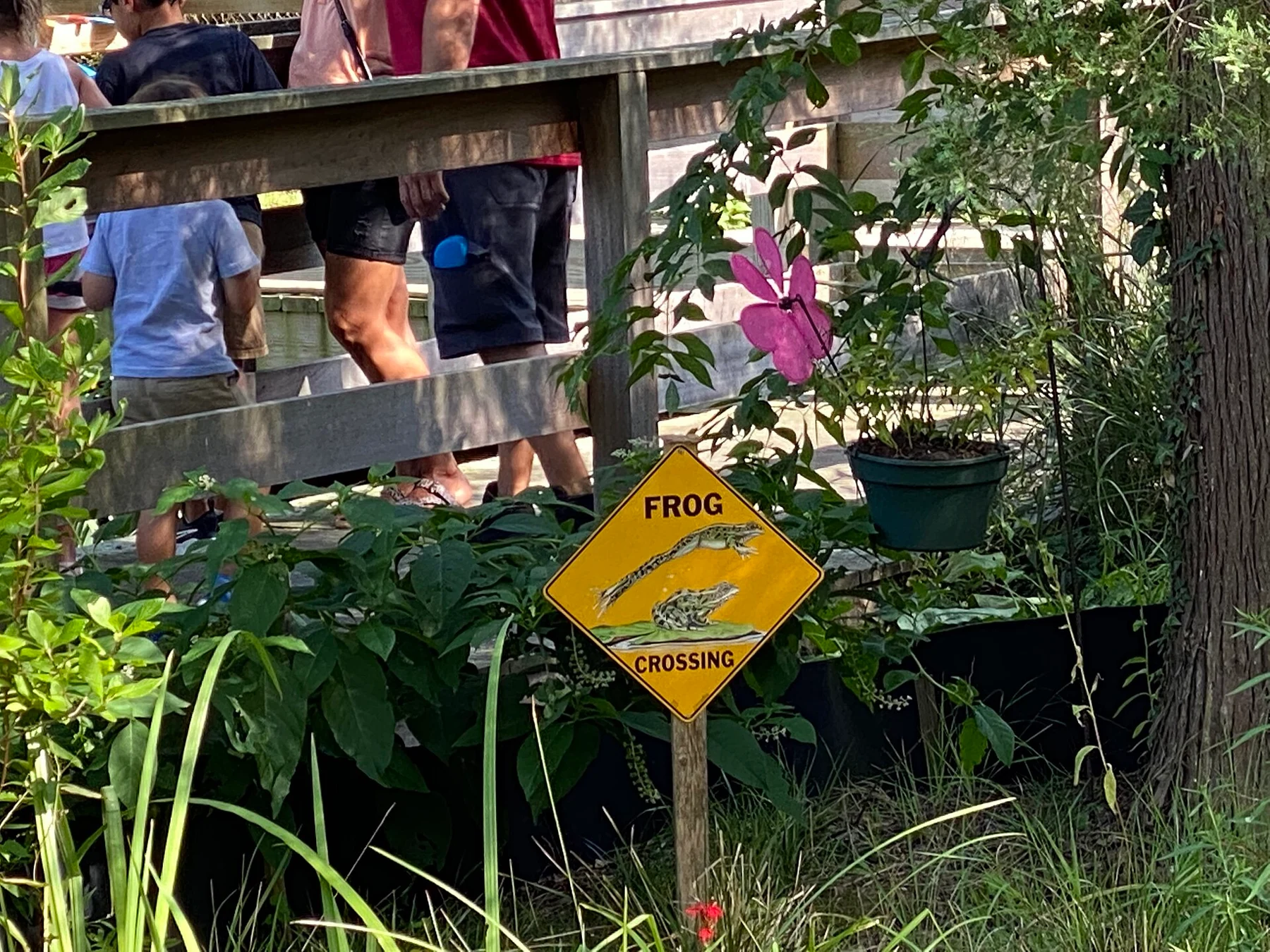 Fotografia de contexto para: itens especiais na pescaria