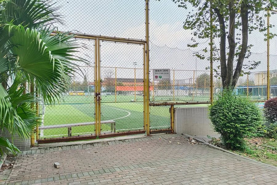 Fotografia de contexto para: futebol e informações ao vivo