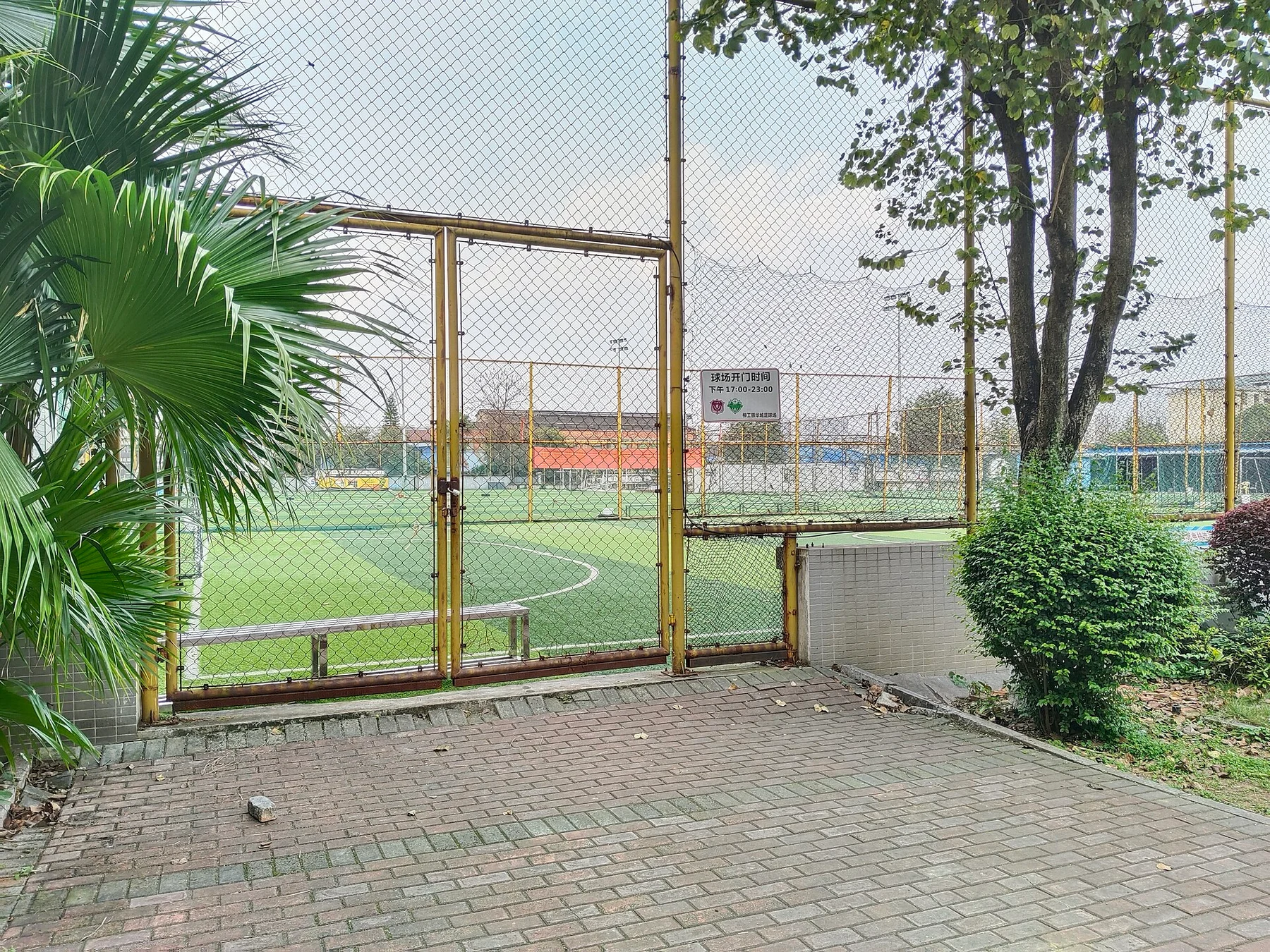 Fotografia de contexto para: futebol e informações ao vivo